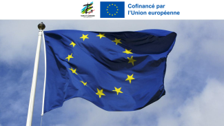 Drapeau de L'union Européenne Drapeau Européen qui vole grâce au vent