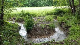 Un courant d'eau  On peut voir un courant d'eau avec plein de boue autour