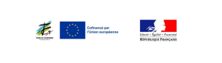 Opérations d'insertion portées par le Département Logo du CD82, du gouvernement français et de l'Union européenne