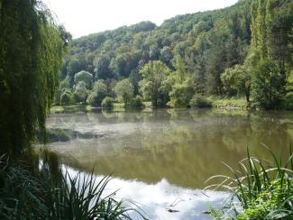 Photo des espaces naturels sensibles Rivière tranquille reflétant un ciel bleu clair, entourées d'arbres verdoyant